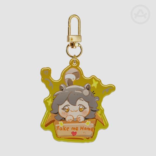 ⭐Stelle⭐Epoxy Clear Acrylic Keychains