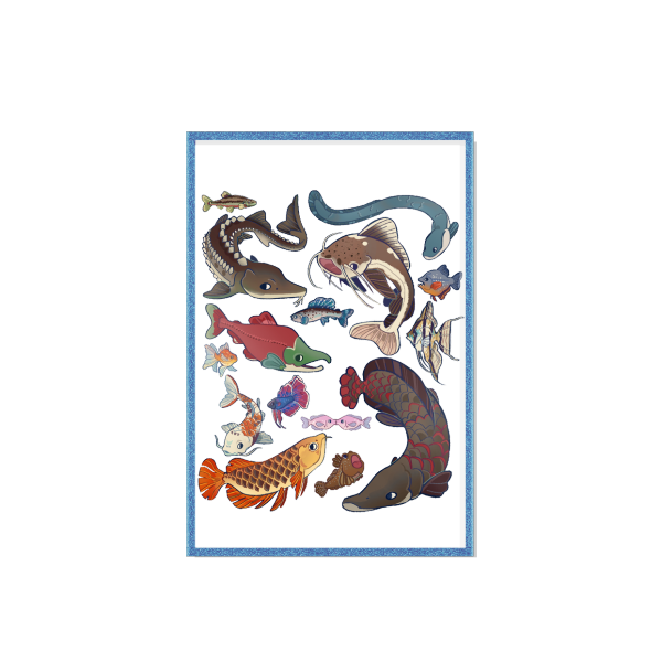 Freshwater Fishes Clear Acrylic Board