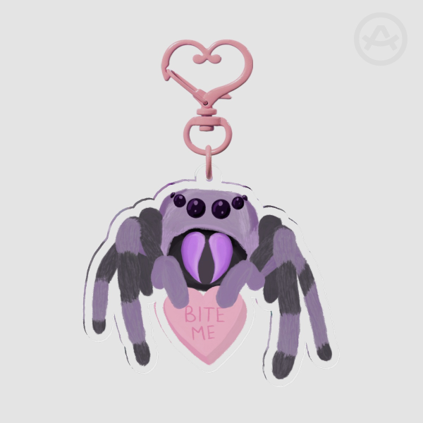 Valentine's Jumping Spider