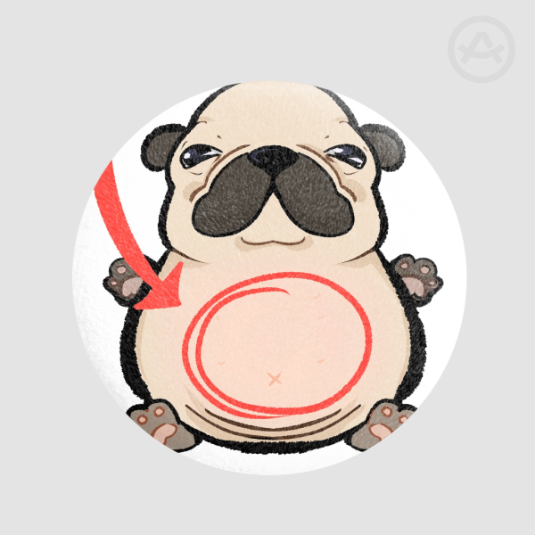 Plush Badges | Dog