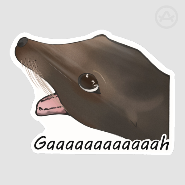 Sea Lion Meme