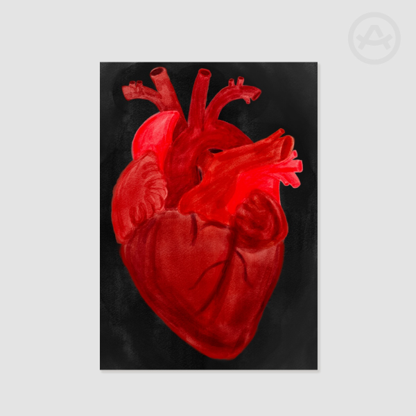 Anatomical Heart Poster