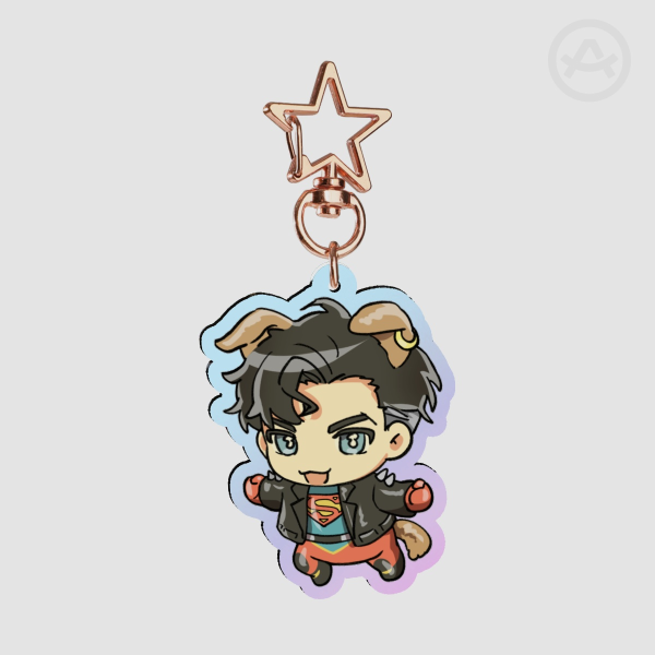 DC COMICS | Superboy Rainbow Acrylic Keychains