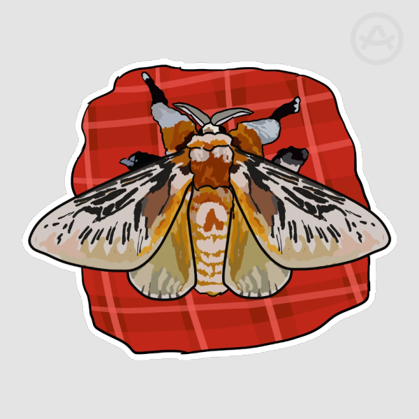 Southern Flannel Moth + flannel -Sticker