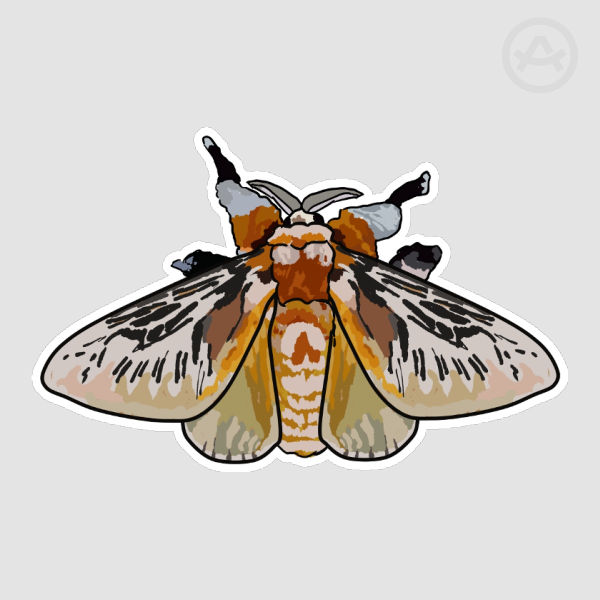 Southern Flannel Moth -Sticker