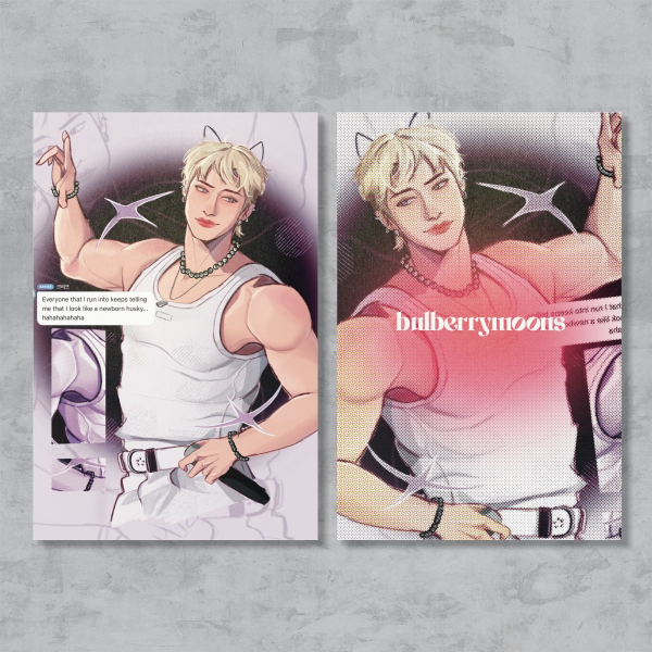 Stray kids bang chan husky Postcards