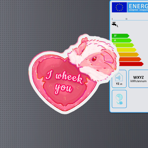 Guinea pig magnet! ♡