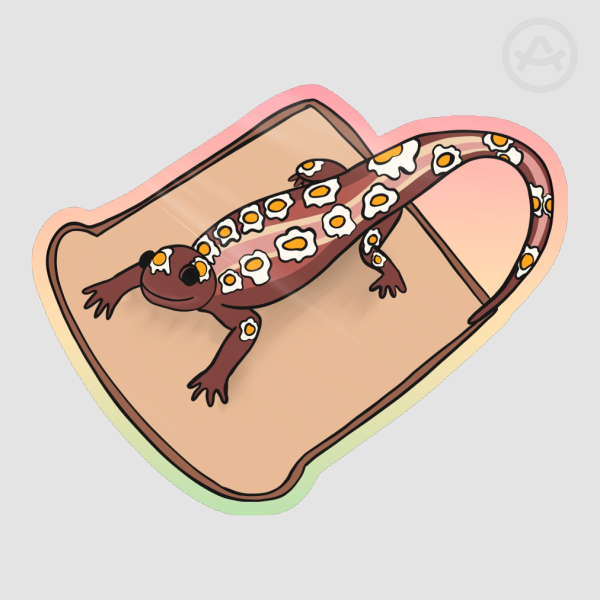 Bacon, Eggs, and Toast Spotted Salamander
