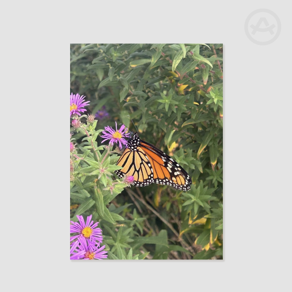 Buge and Flowers
