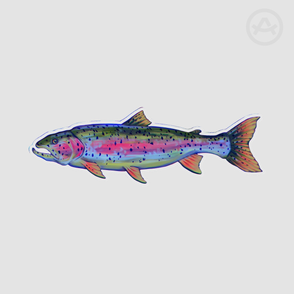 Rainbow Trout PET Plastic Bookmarks