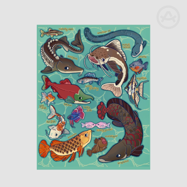 Freshwater Fishes Sticker Sheet