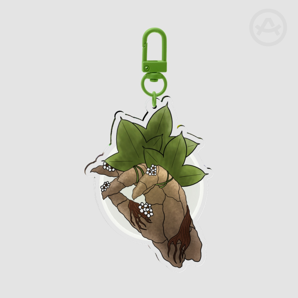 Druidcraft Acrylic Keychains