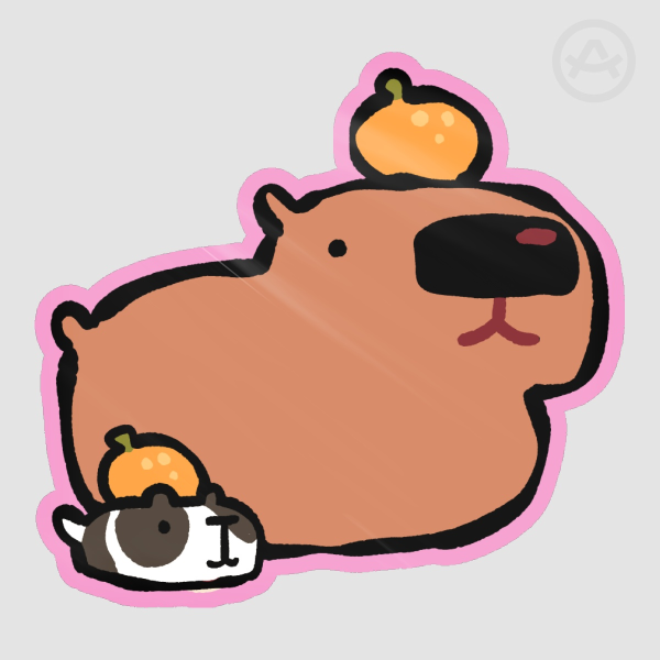big guinea pig