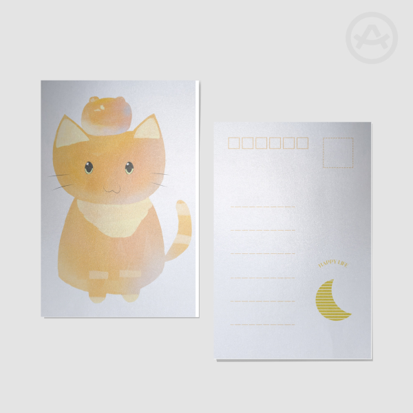 Cat postcard