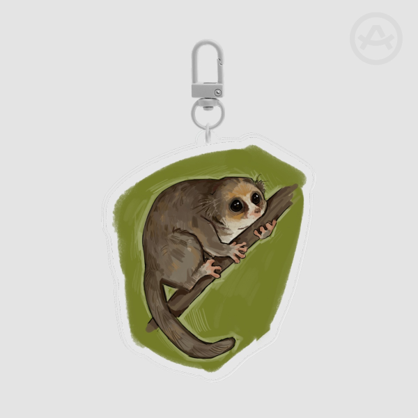 Hairy Eared Dwarf Lemur