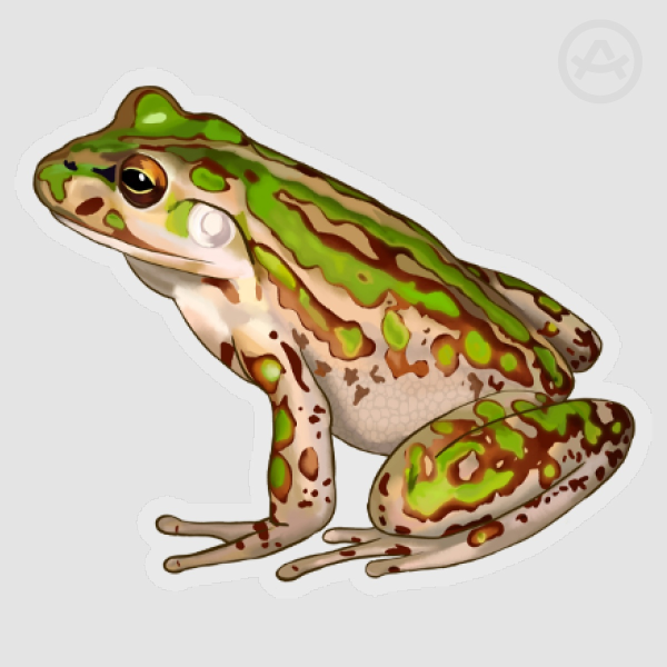 Motorbike frog-(30x35mm)Clear Die Cut Stickers