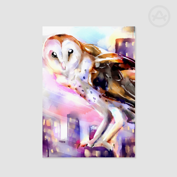 Owl City Poster Print