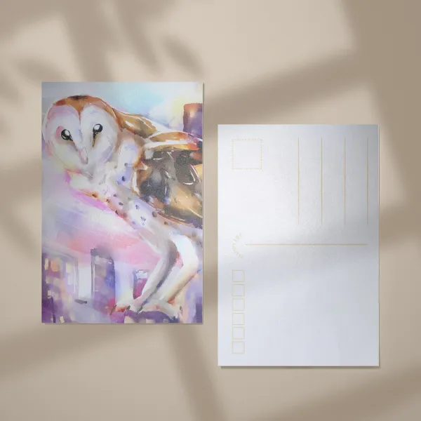 Owl City Postcard