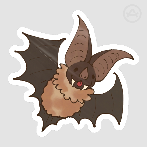 Townsend's Big Eared Bat Sticker