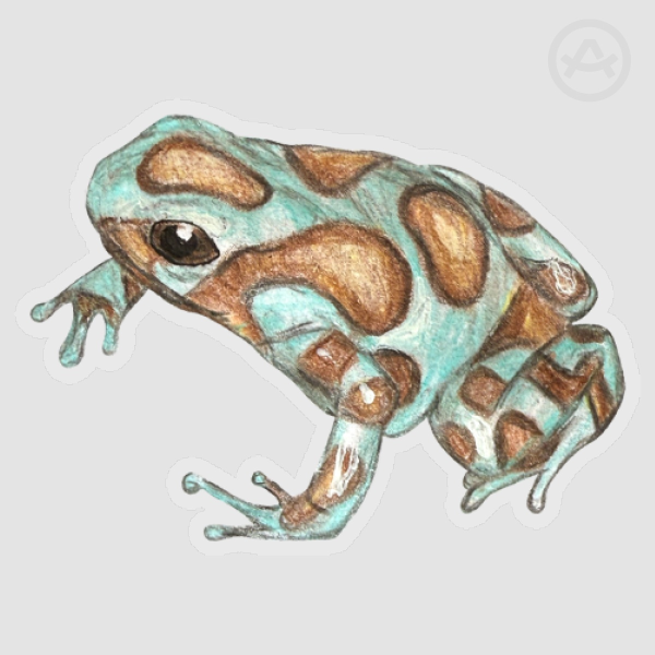 Green and black poison frog-(30x40mm)Clear Sticker