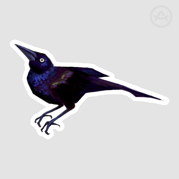 Grackle Sticker (2)