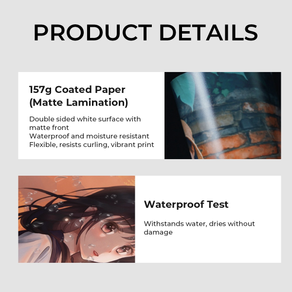 Sonic and Lancelot Poster Printing