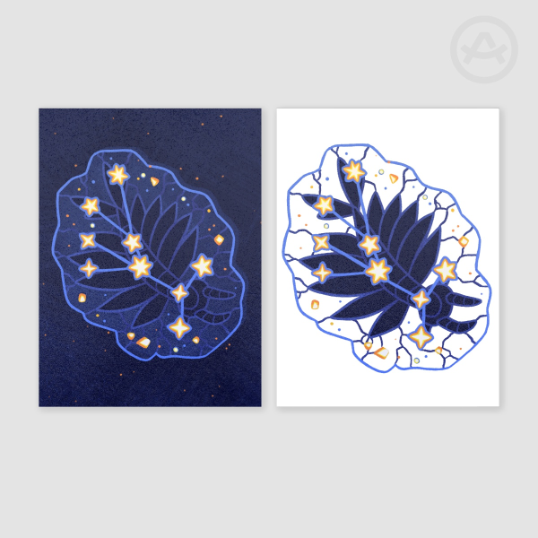 Anomalocaris Constellation Photocards