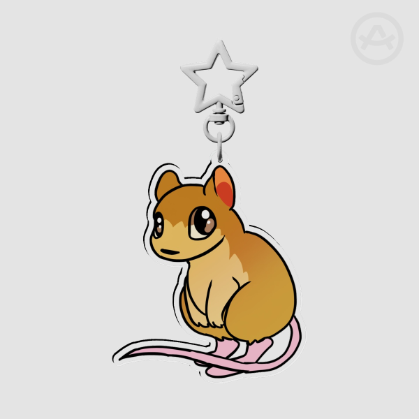 Bramble Kay melomys