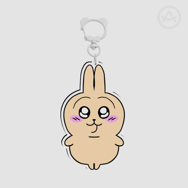 Clear Acrylic Keychains