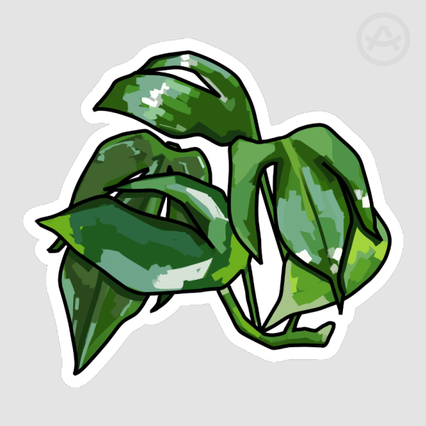 dragon's tail sticker