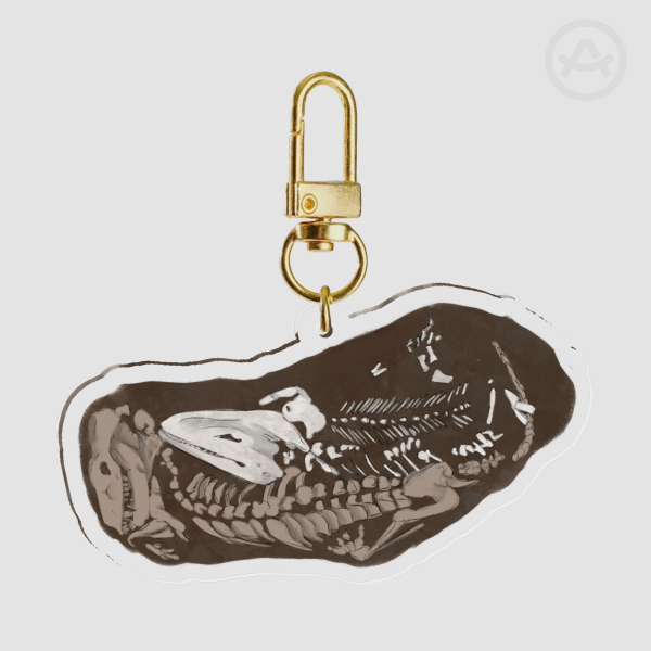 Triassic Cuddle Fossil Keychain | Clear Acrylic Keychain