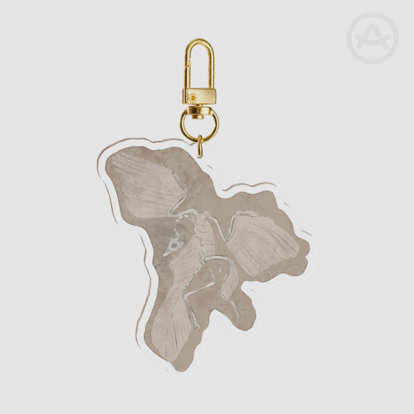 Archaeopteryx Fossil Keychain | Clear Acrylic Keychain