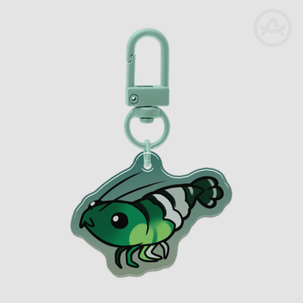 Aromantic Shrimpride | Epoxy Clear Acrylic Keychains