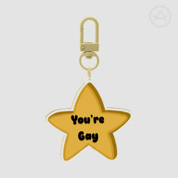 'You're Gay' Keychain