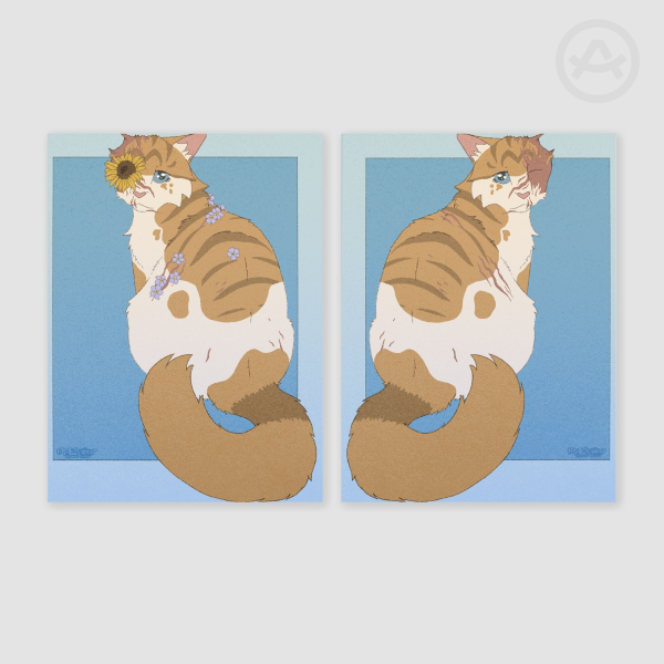 Bright cat Paper Photocards