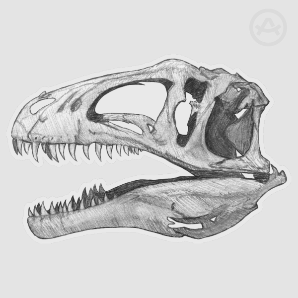Acrocanthosaurus skull- 42x63mm Clear Die Cut Sticker