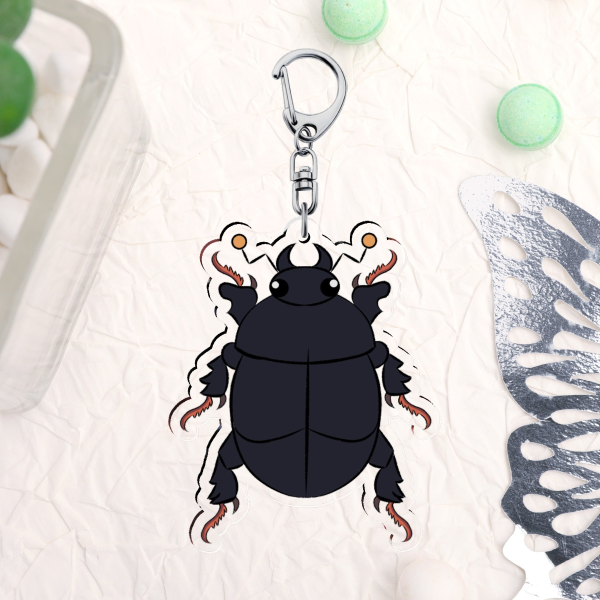 Flat Clown Beetle
