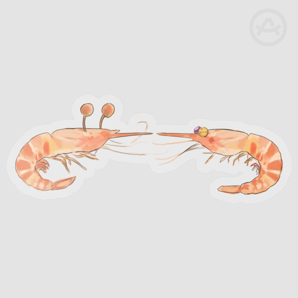 Spamtenna Shrimp Clear Die Cut Sticker