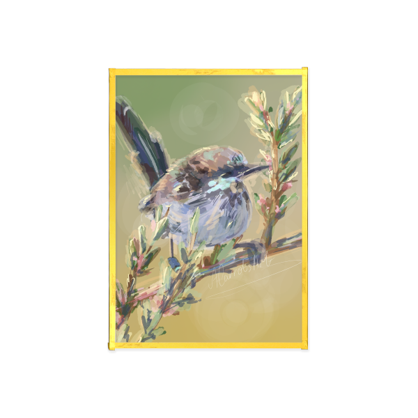 Animal Series - Superb Fairywren