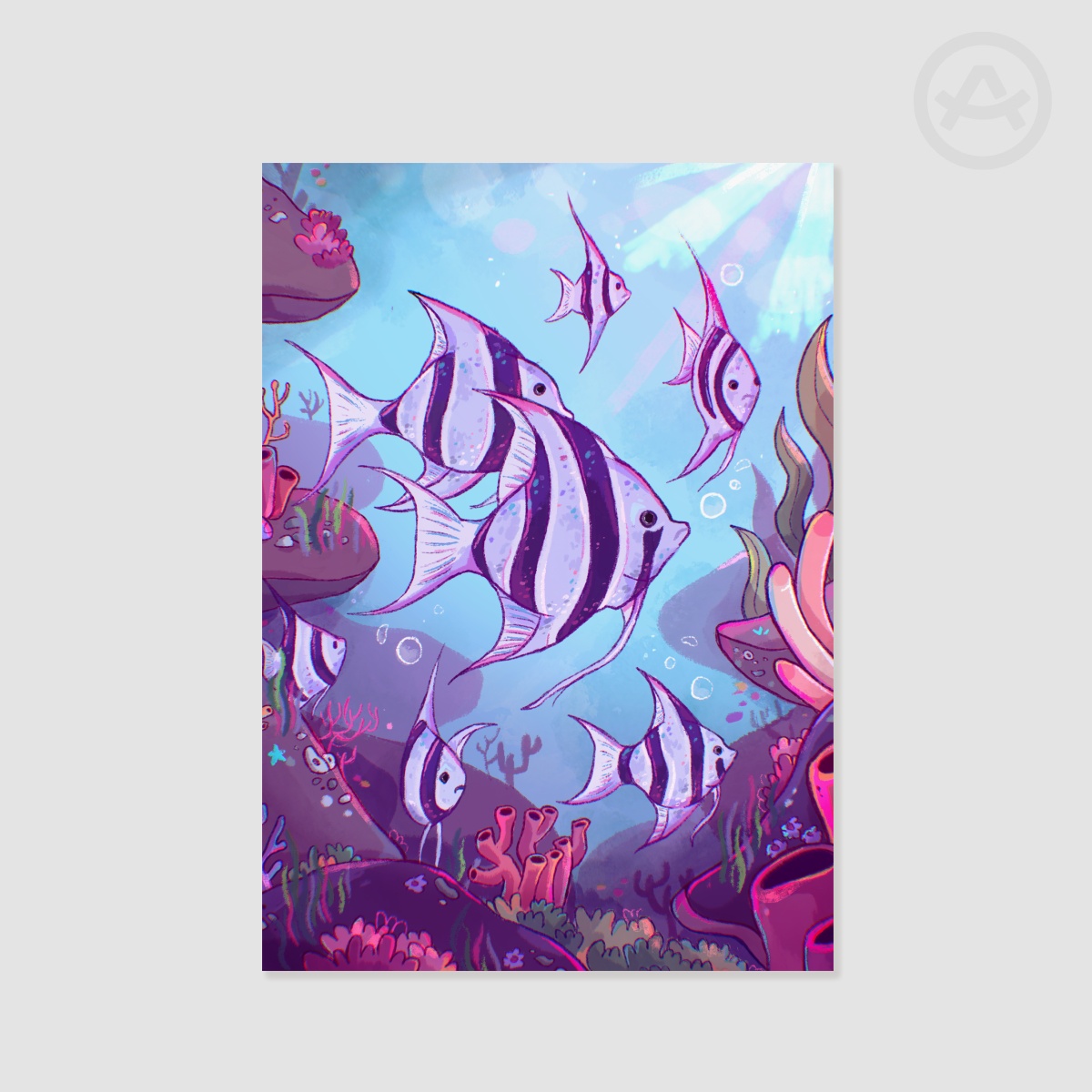 Angelfish in the Coral Reef