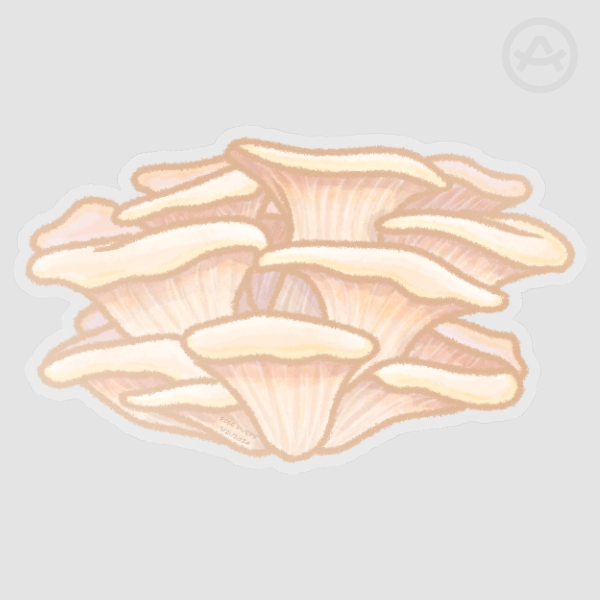 Oyster Mushrooms Vinyl Sticker