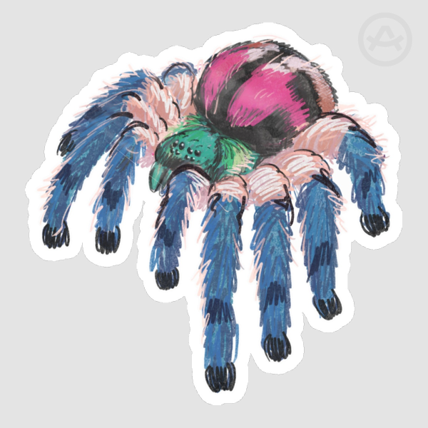 Brazilian Jewel Tarantula Sticker