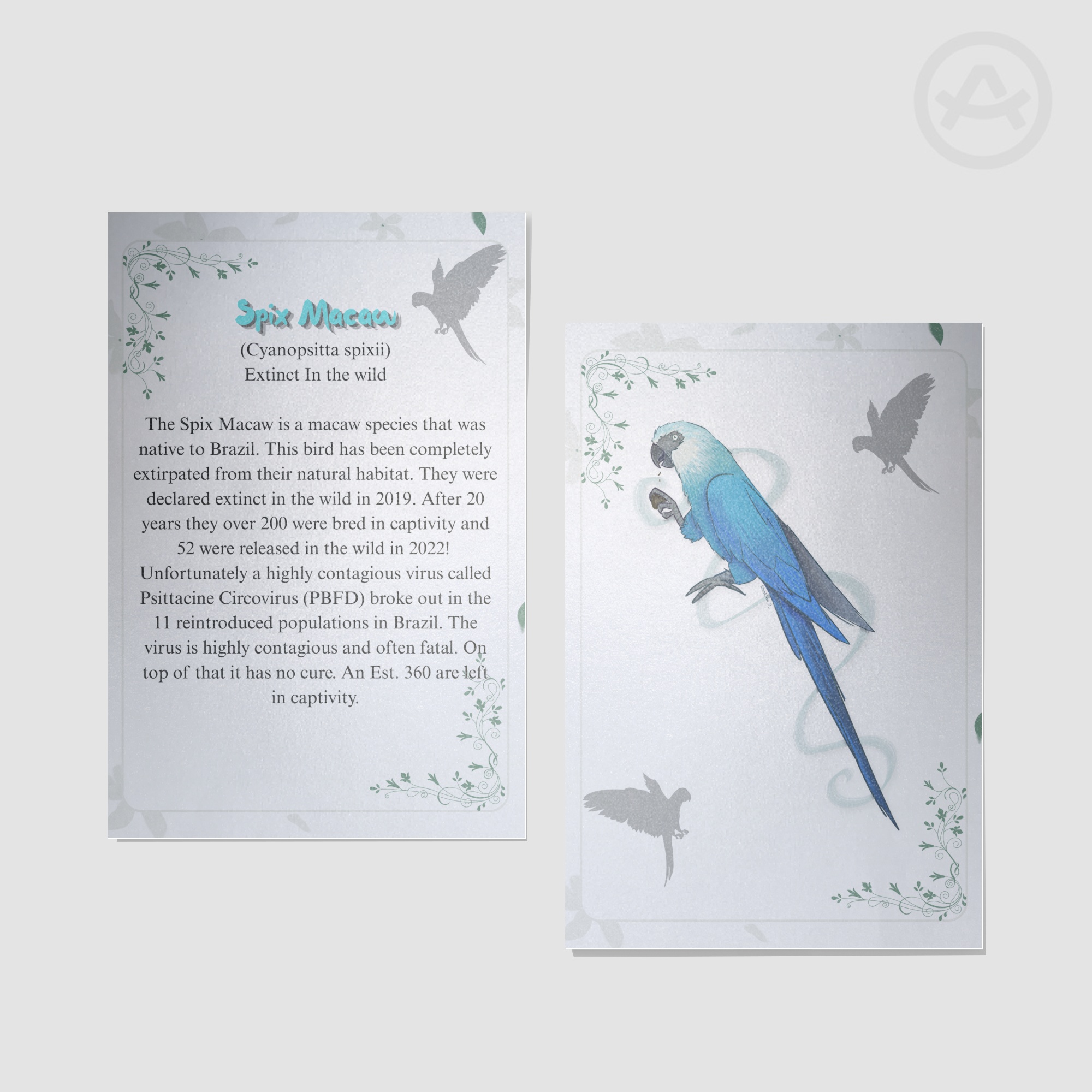 Spix Macaw Fact Sheet