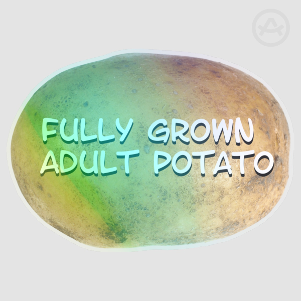 Fully Grown Adult Potao Holographic Sticker - 3 Inch