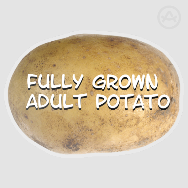Fully Grown Adult Potato Vinyl Sticker
