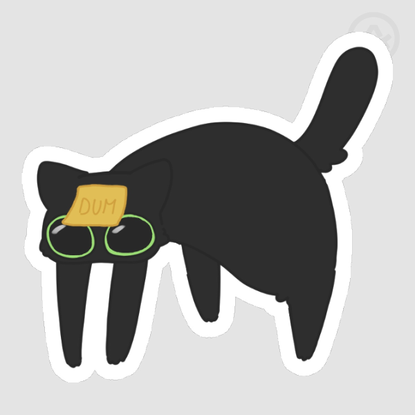Black cat HISSS