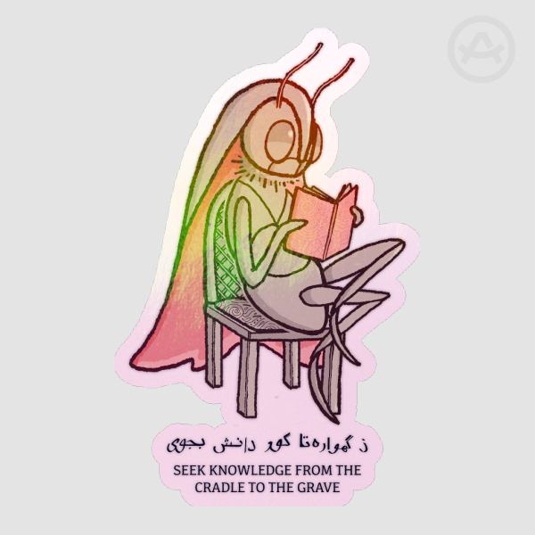 Wise Moth
