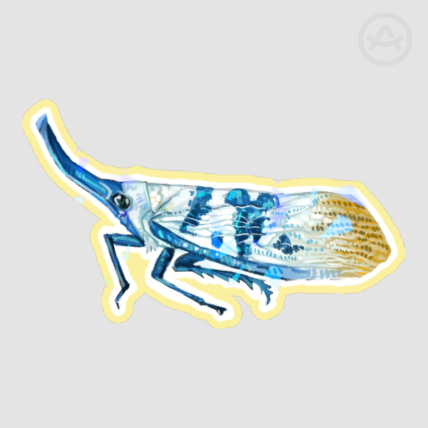 leafhopper sticker