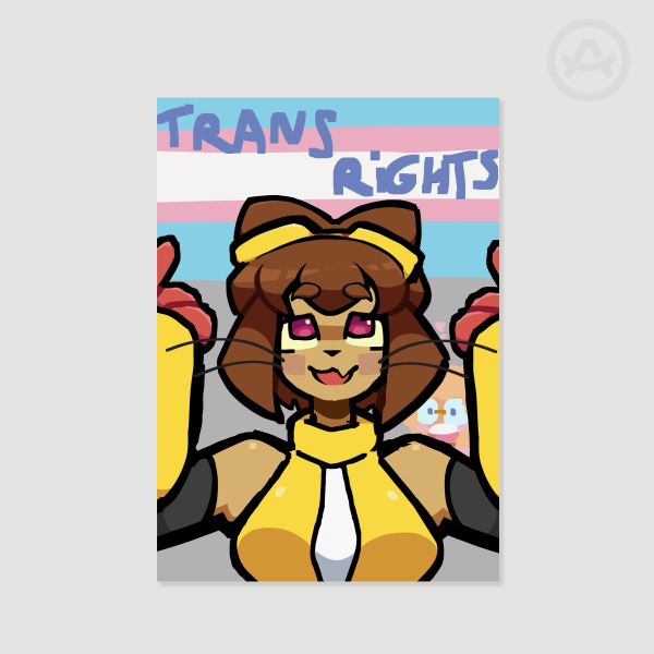 KIT TRANS RIGHTS - POSTER
