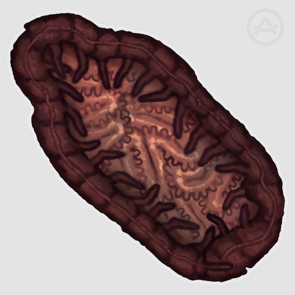 • Centipede Organs Glossy Sticker •